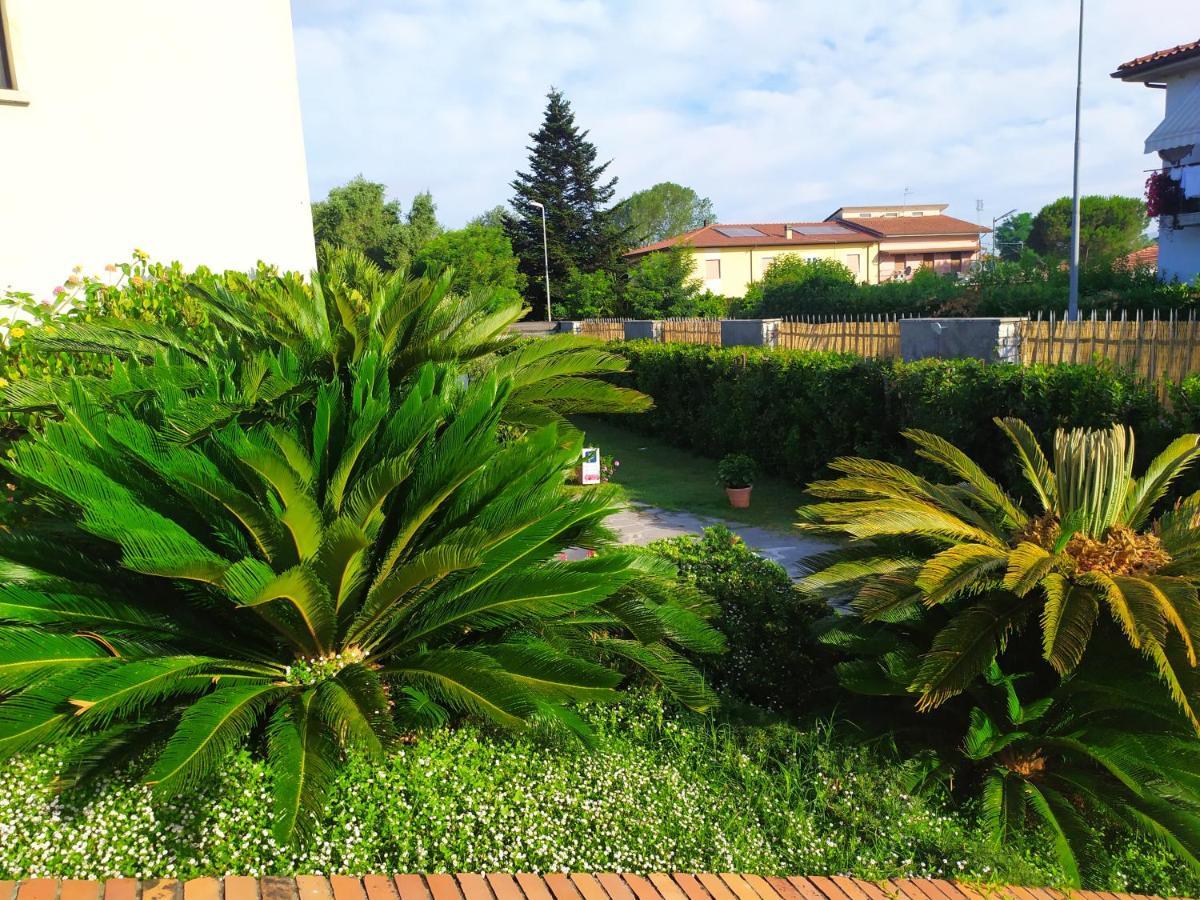 Tra Mare E Marmo Bed & Breakfast Marina Di Carrara